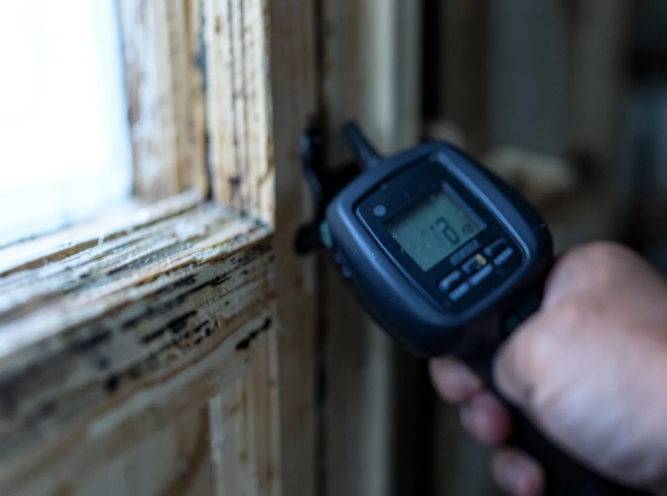 Moisture Inspection And Documentation in Newington, GA